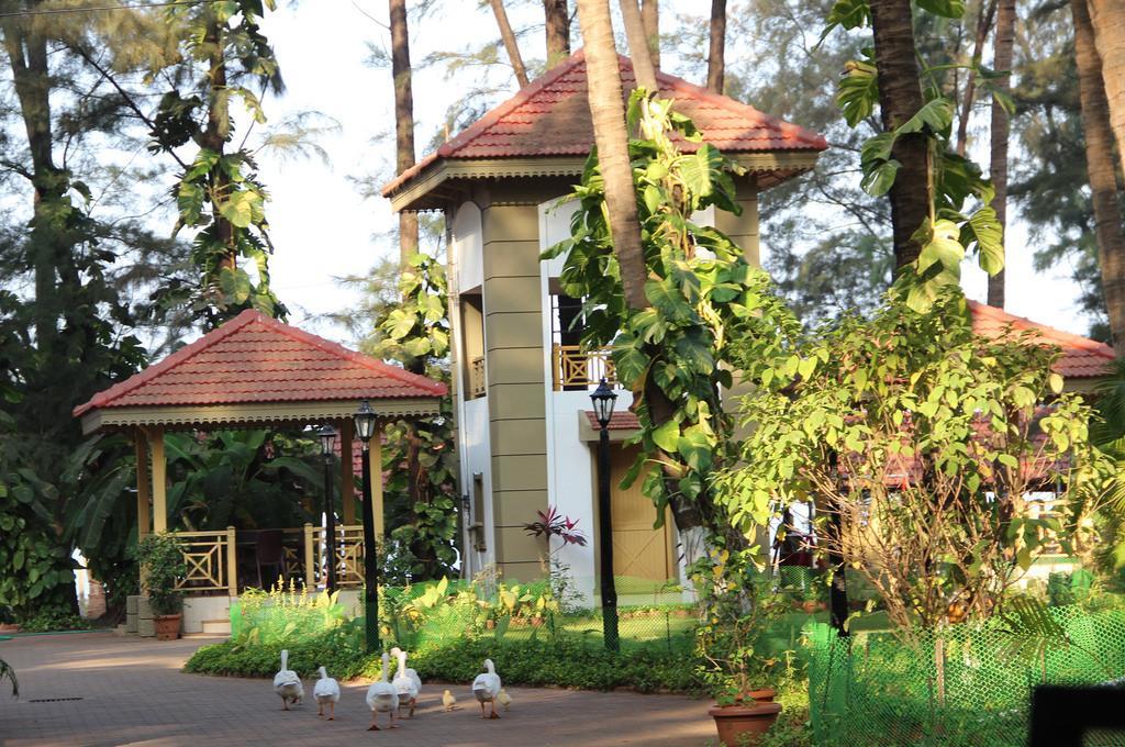 Golden Swan Beach Resort Murūd Zewnętrze zdjęcie